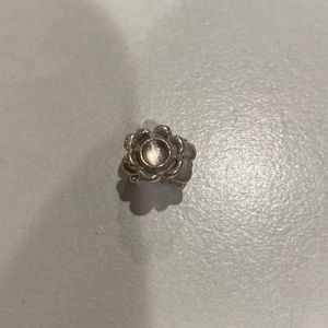 Pandora Charm